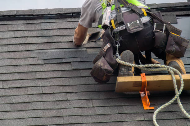 Best Chimney Flashing Repair  in Doylestown, OH